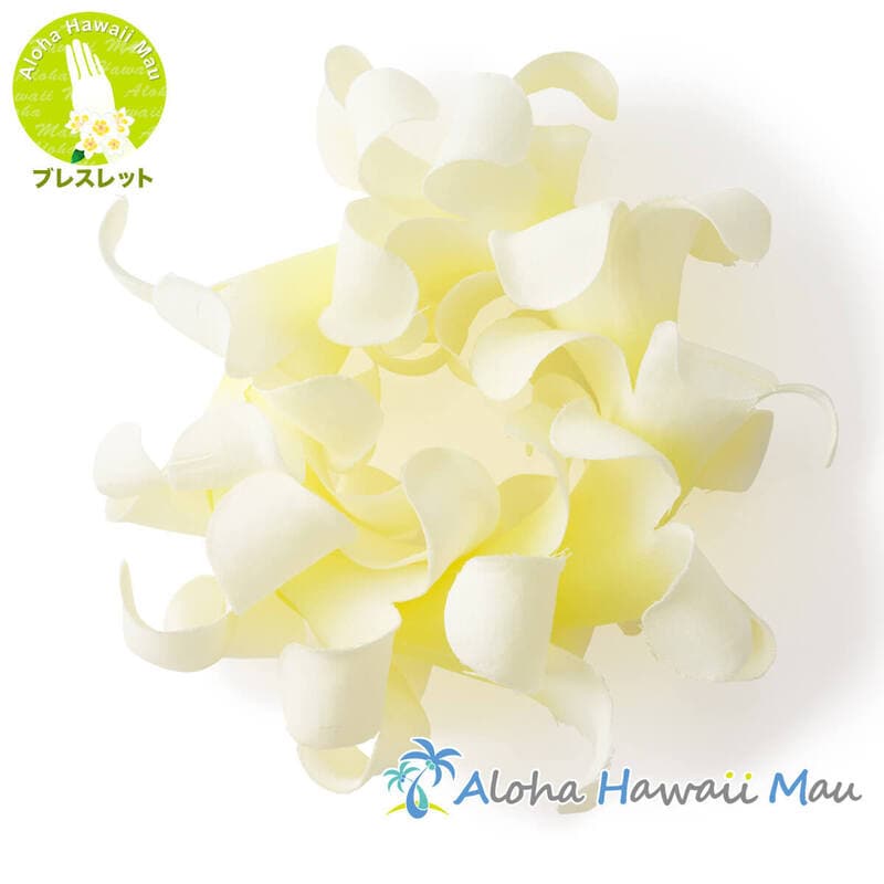 フラダンス ブレスレット デラックス プアケニケニ ブレスレット ホワイト