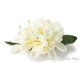 フラダンス髪飾り　アイランド チューブローズ 髪飾り M クリーム