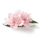 フラダンス 髪飾り アイランド チューブローズ 髪飾り M ピンク