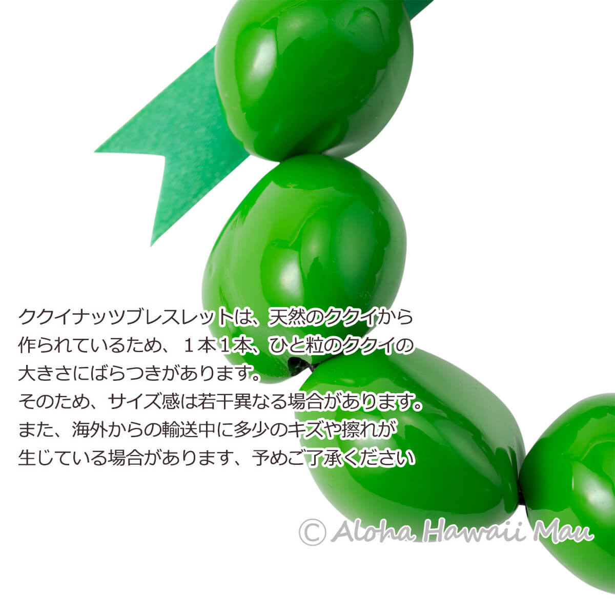 フラダンス ブレスレット ククイブレスレット グリーン