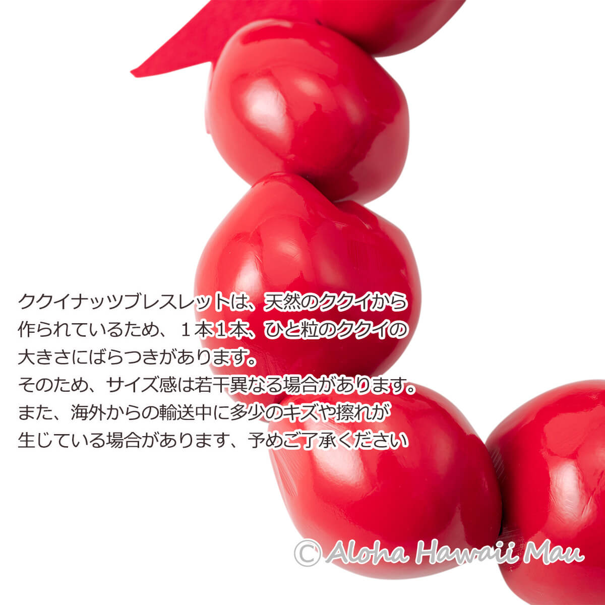 フラダンス ブレスレット ククイブレスレット レッド