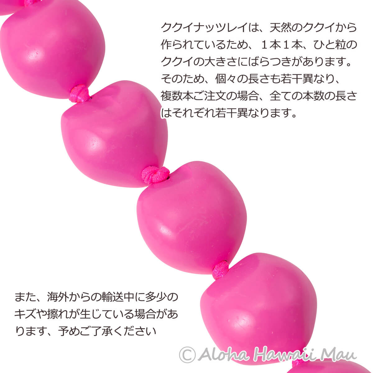 フラダンス レイ ククイレイ ピンク