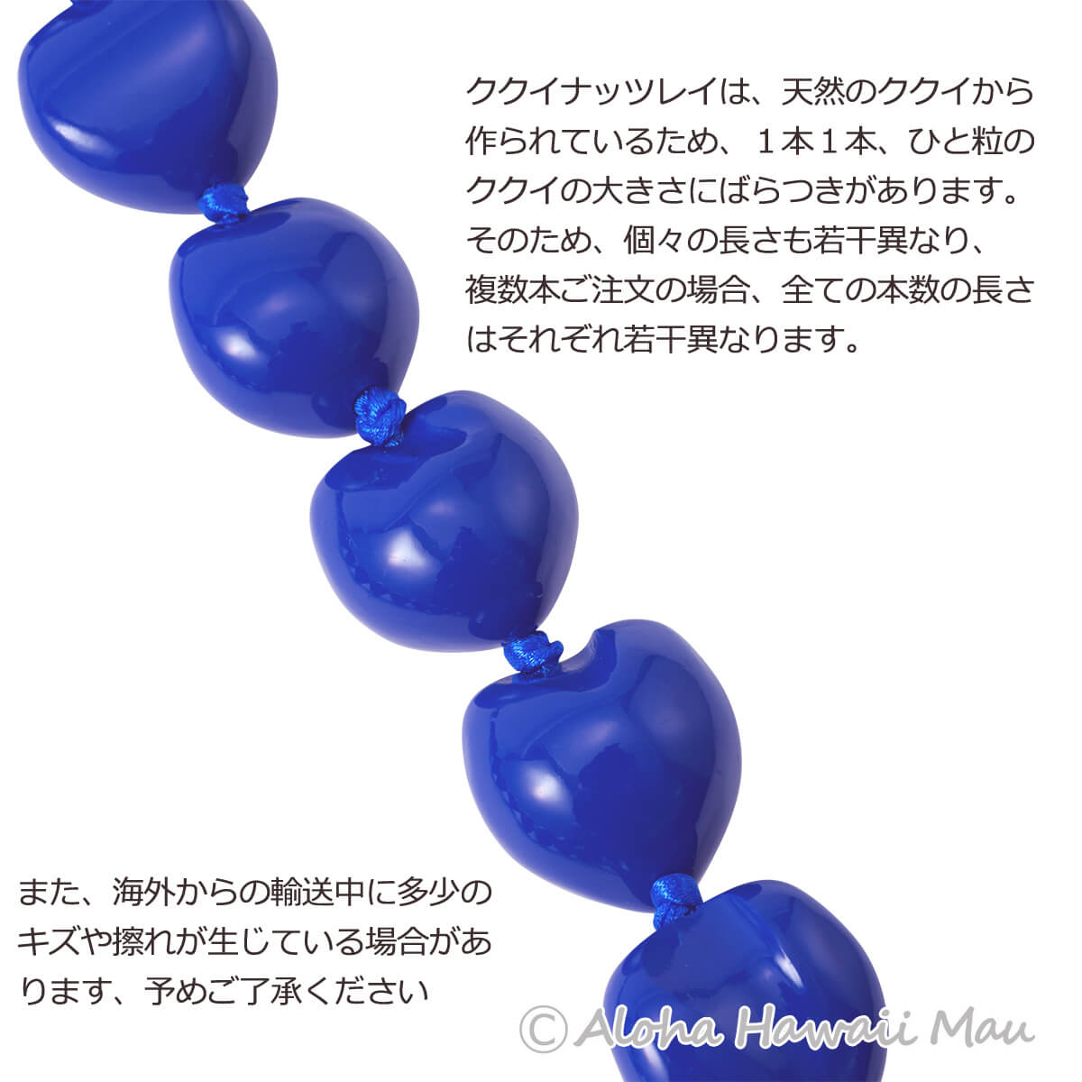 フラダンス レイ ククイ レイ ブルー