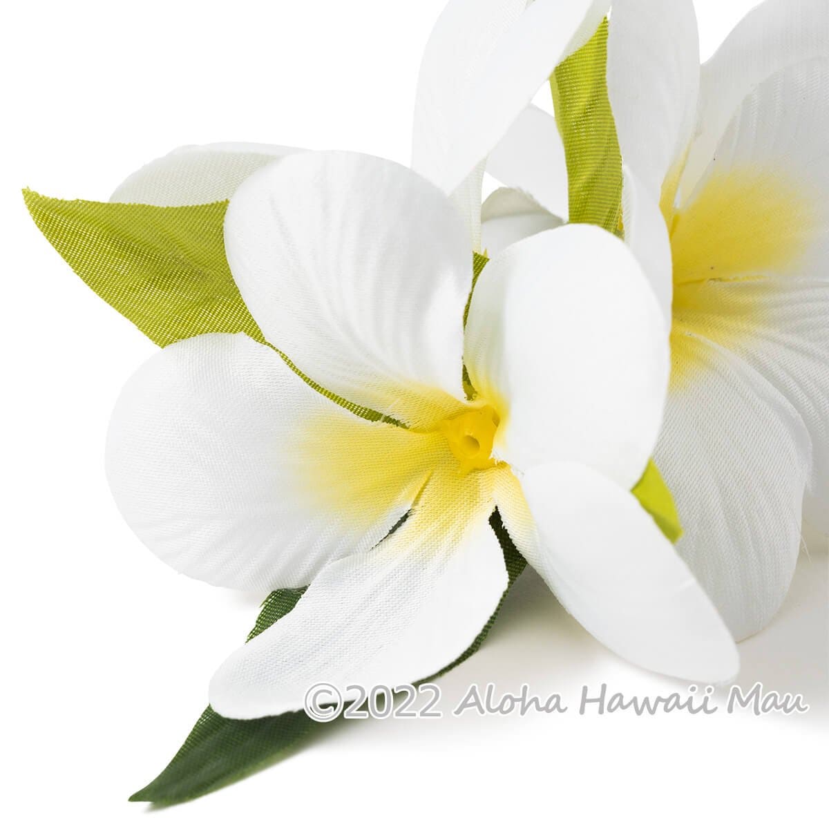 プルメリア フラ ヘアクリップ ホワイト Mサイズ フラ 髪飾り