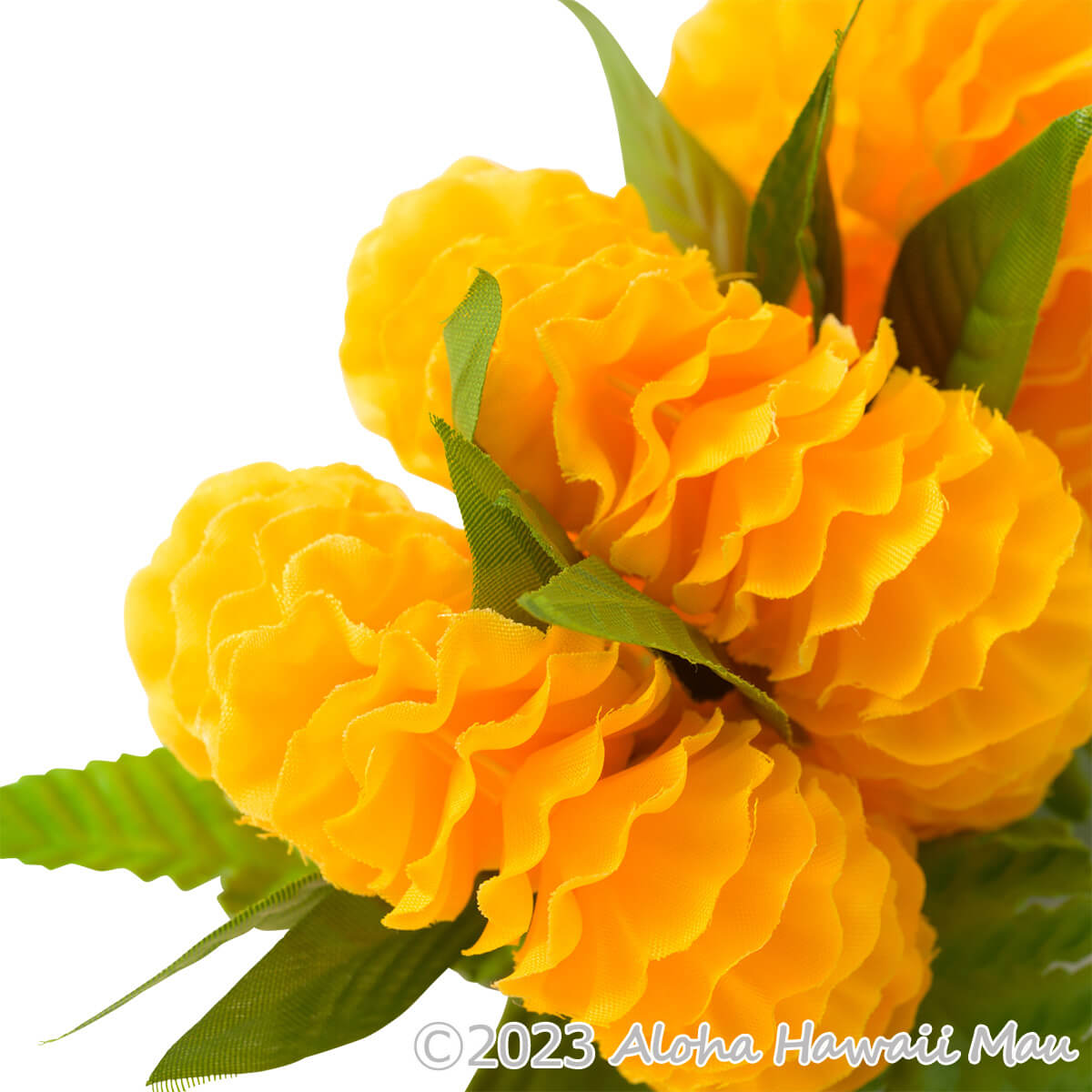 フラダンス 髪飾り イリマ＆マイレ髪飾り M イエロー