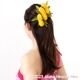 フラダンス 髪飾り イリマ＆マイレ髪飾り M イエロー