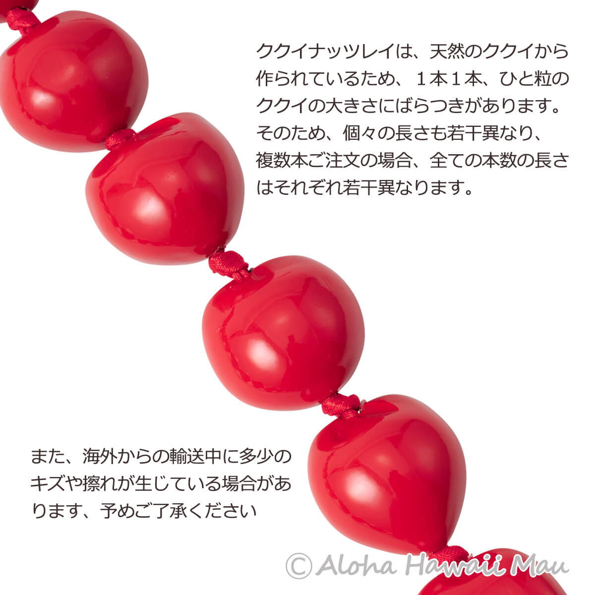 フラダンス レイ ククイ レイ レッド