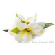 プルメリア フラ ヘアクリップ イエロー Mサイズ フラ 髪飾り