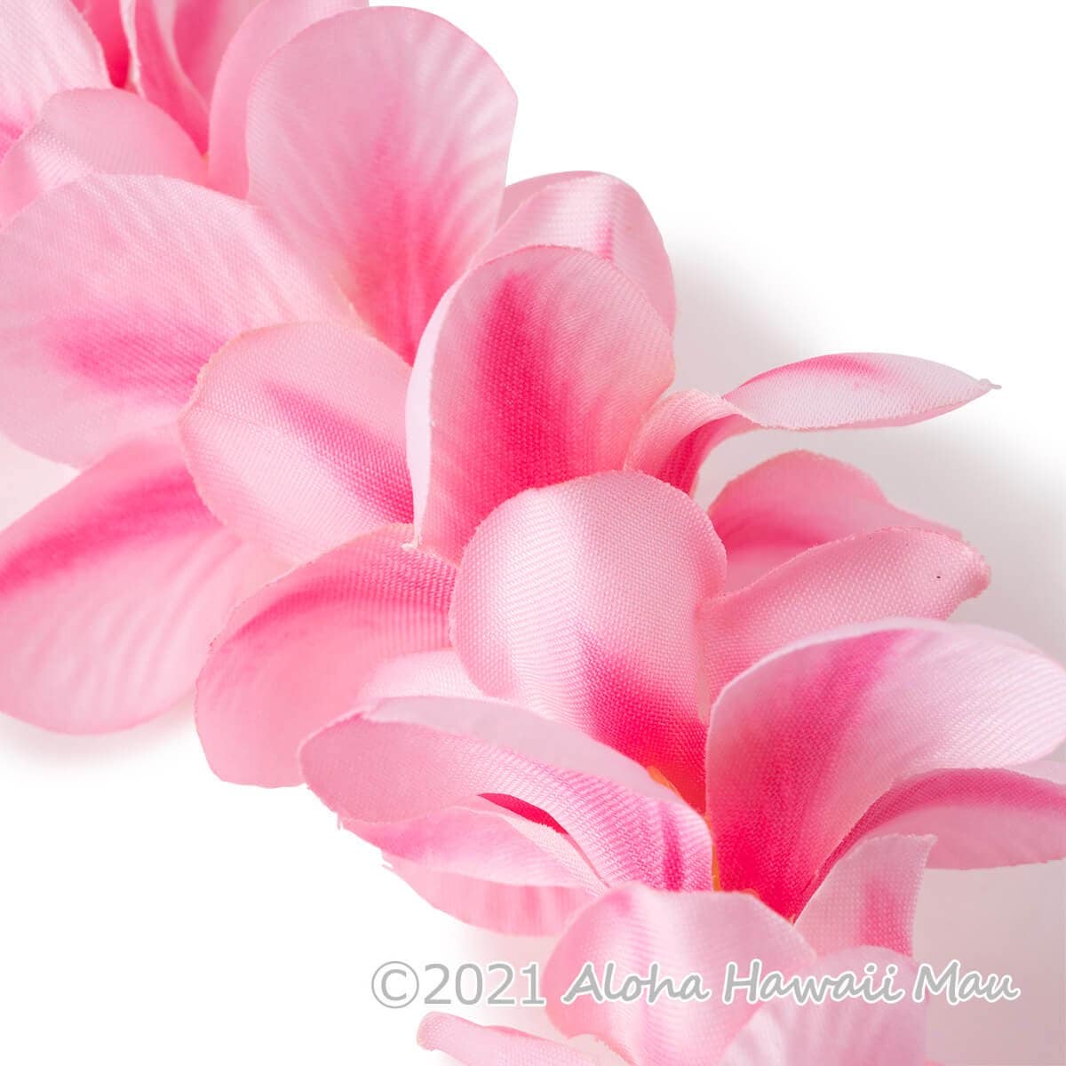 【新品未使用】ヘッドバンド　プルメリア(白)5本 新品未使用】ヘッドバンド プルメリア(白)5本 ハワイアン フラ用品