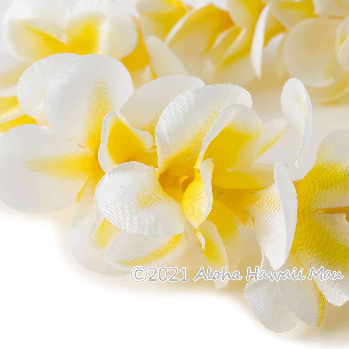 プルメリア ヘッドバンド イエロー プルメリア フラ ポォ