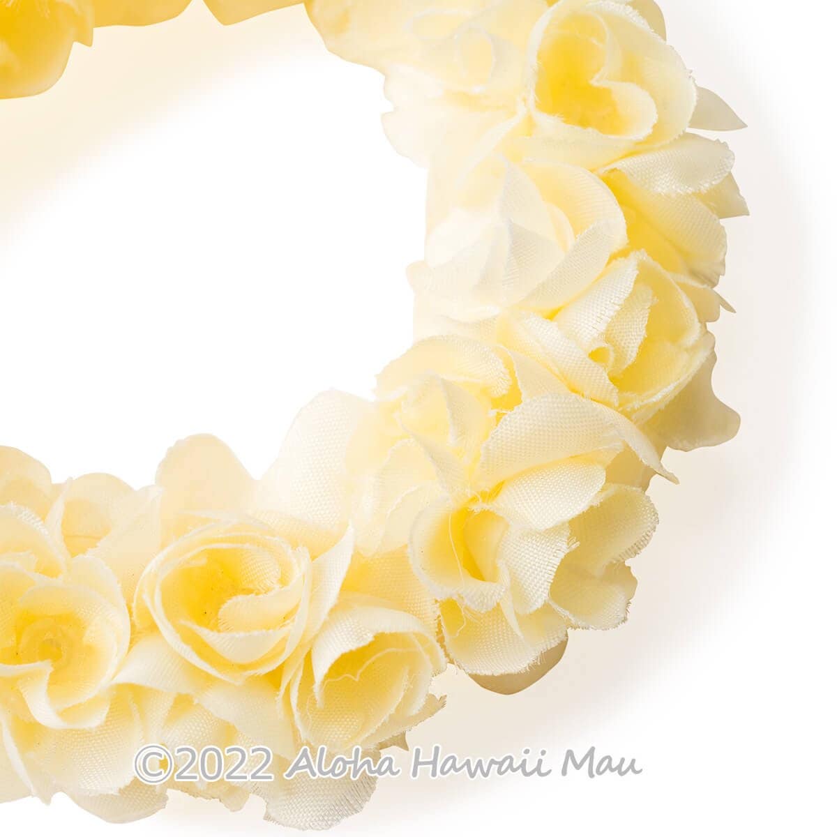 ダブルピカケ ブレスレット クリーム フラ クウペエ アンクレット