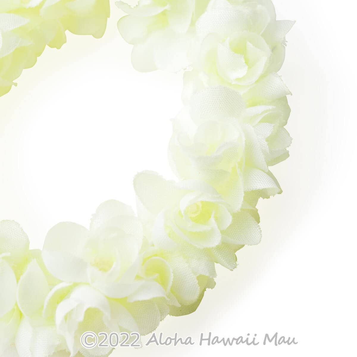 ダブルピカケ ブレスレット ライトグリーン フラ クウペエ アンクレット