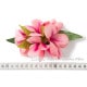 プルメリア フラ ヘアクリップ ピーチ Mサイズ フラ 髪飾り