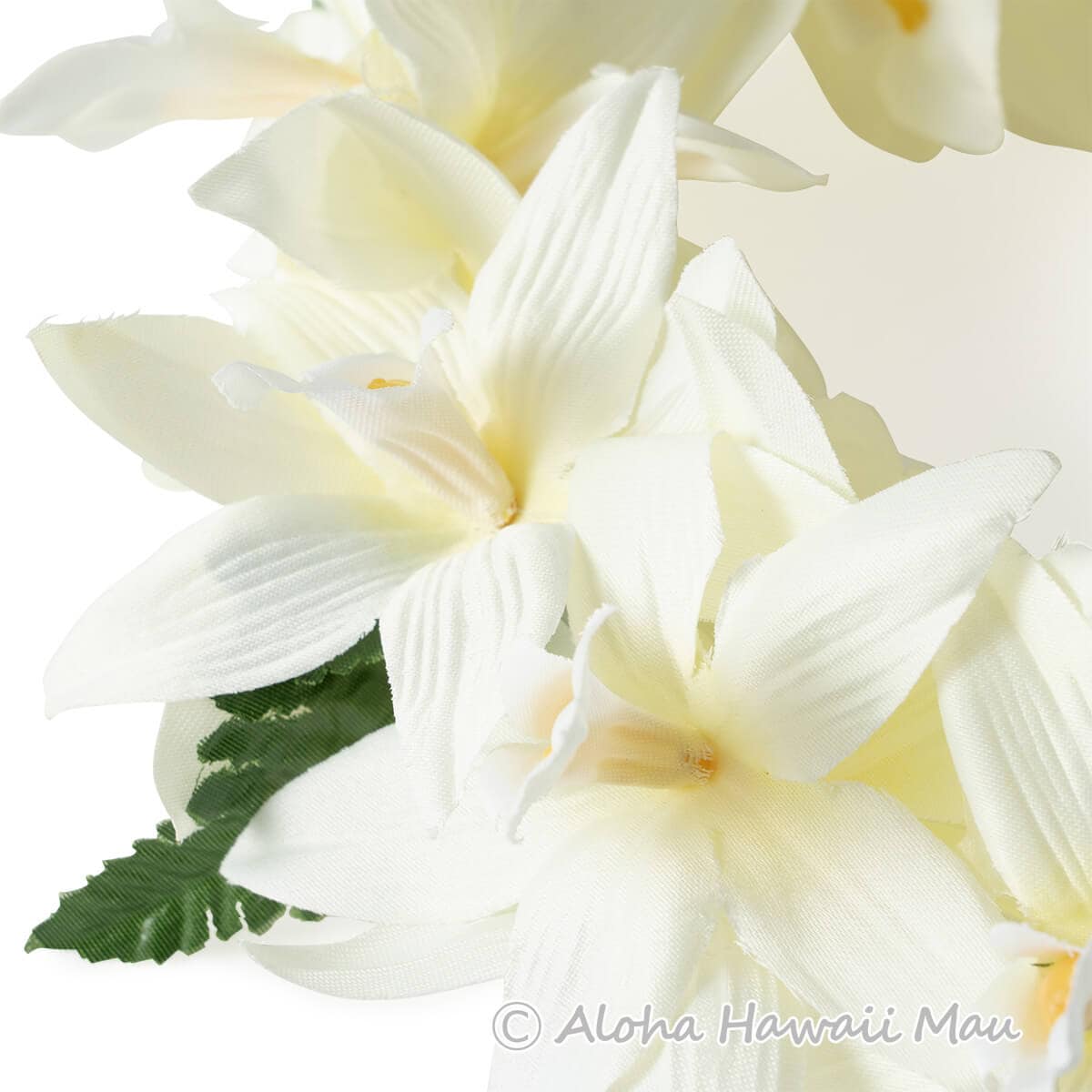 フラダンス ヘッドバンド（ポォ）バンダオーキッド ダブル ヘッドバンド ホワイト