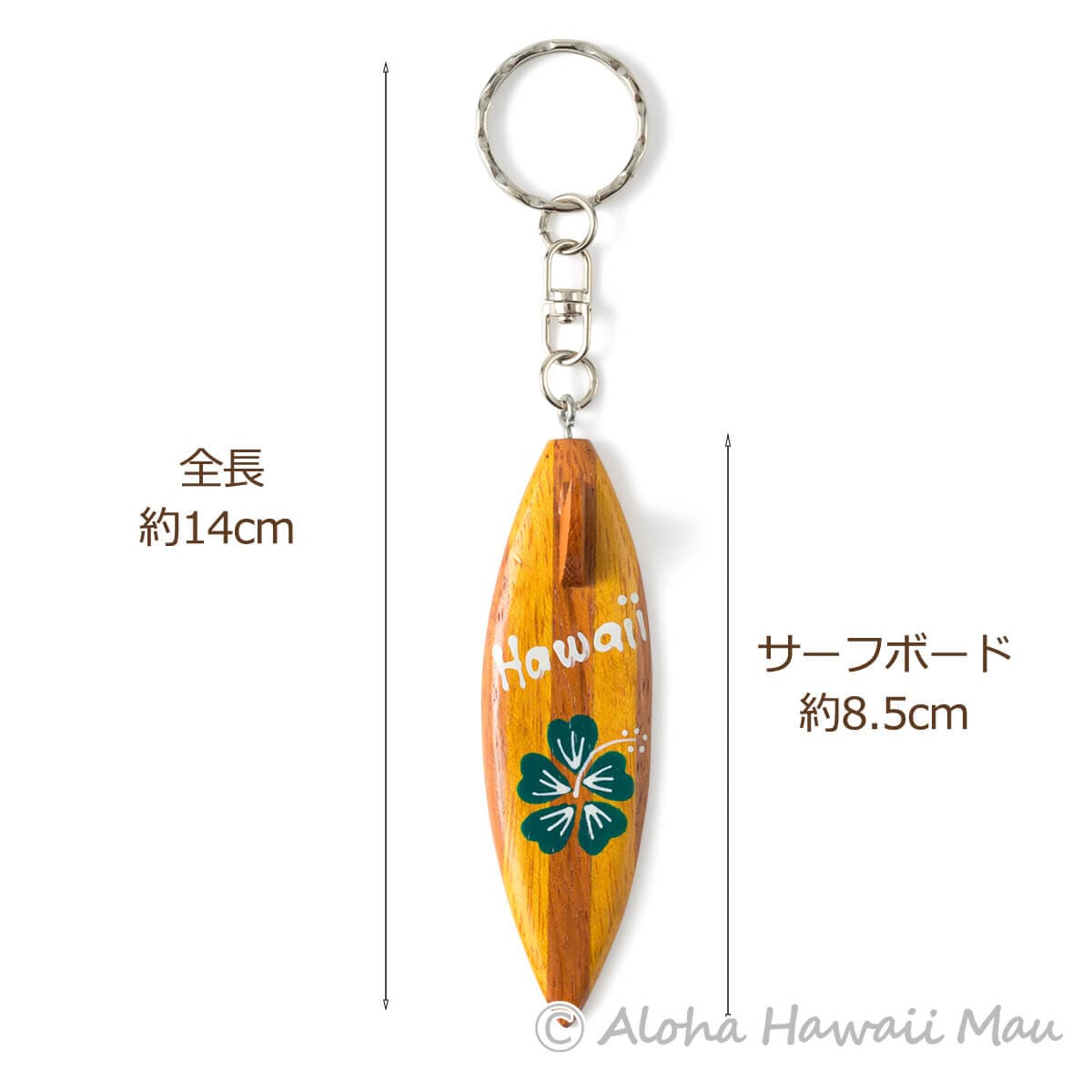 レア　張哲瀚  AHAVA キーホルダー BALENCIAGA キーホルダー ブラック レザー | MixTHINKS