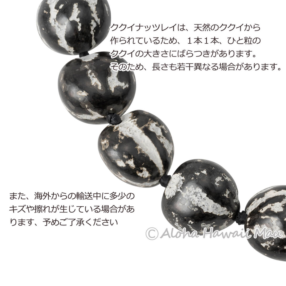 フラダンス レイ ククイ レイ タイガーククイ チョーカー ブラック/ホワイト