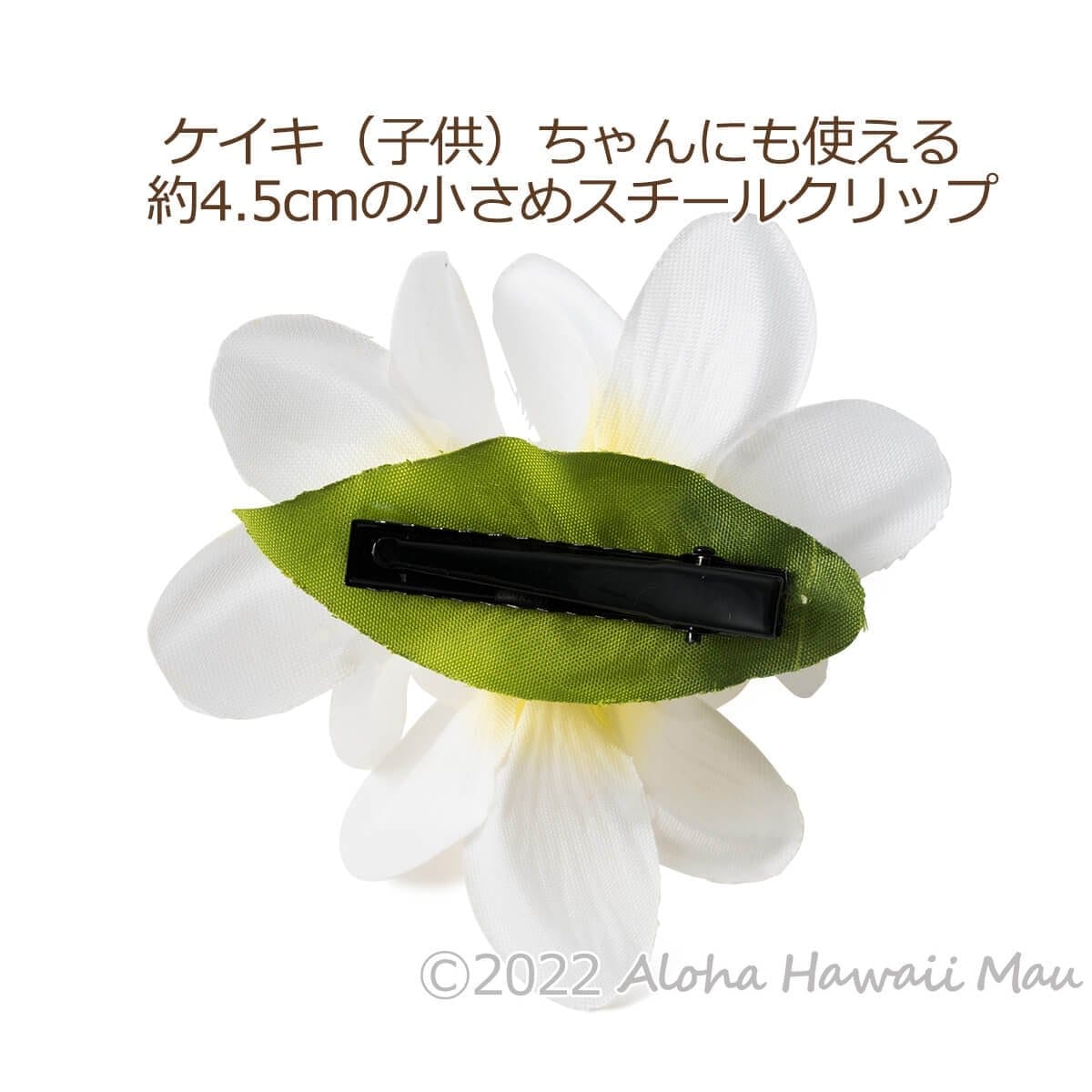 プルメリア フラ ヘアクリップ ホワイト Ｓサイズ フラ 髪飾り