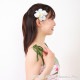 プルメリア フラ ヘアクリップ ホワイト Ｓサイズ フラ 髪飾り