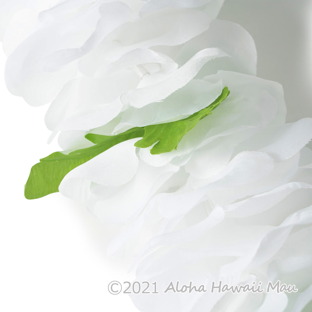 フラダンス レイ フラワーレイ ホワイト 白