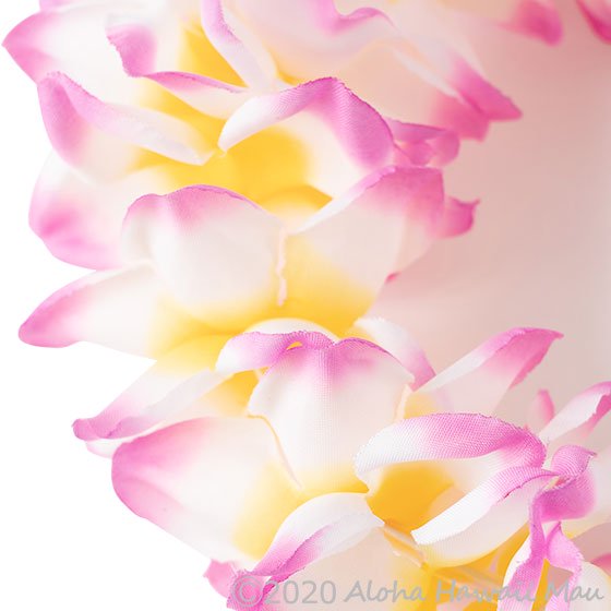 フラダンス ヘッドバンド（ポォ）プルメリアプナ ピンクイエロー