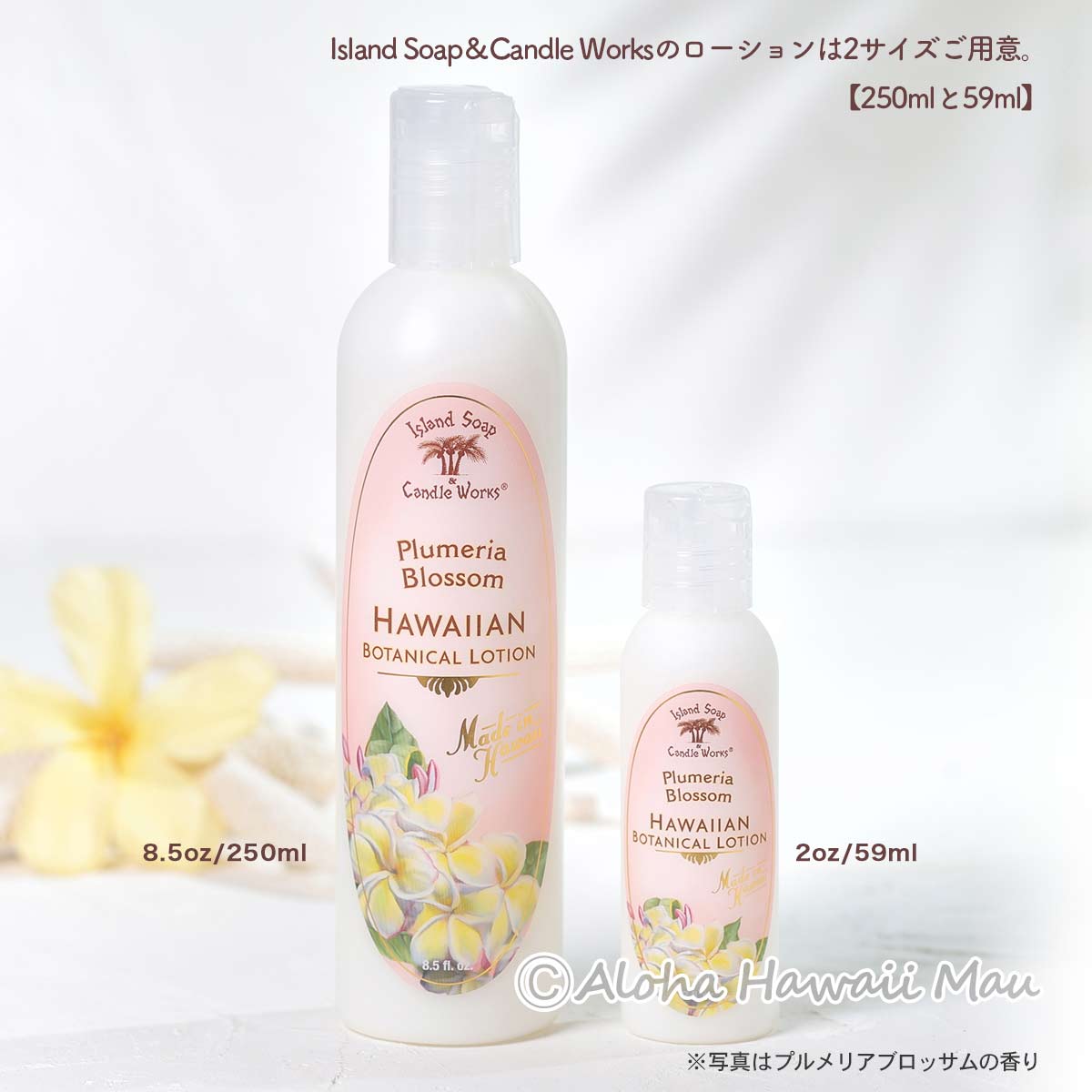 ボディローション 250ml ボディローション クリーミーココナッツの香り 250ml Island