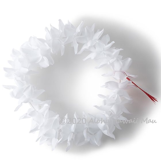 フラダンス ヘッドバンド（ポォ）プルメリアプナ ホワイト