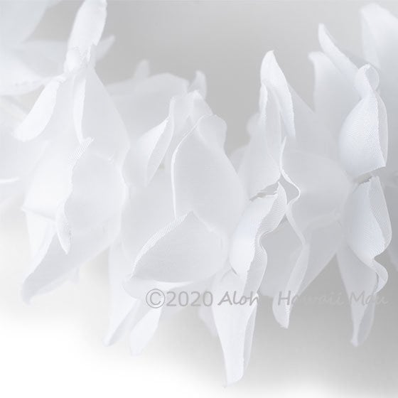 フラダンス ヘッドバンド（ポォ）プルメリアプナ ホワイト