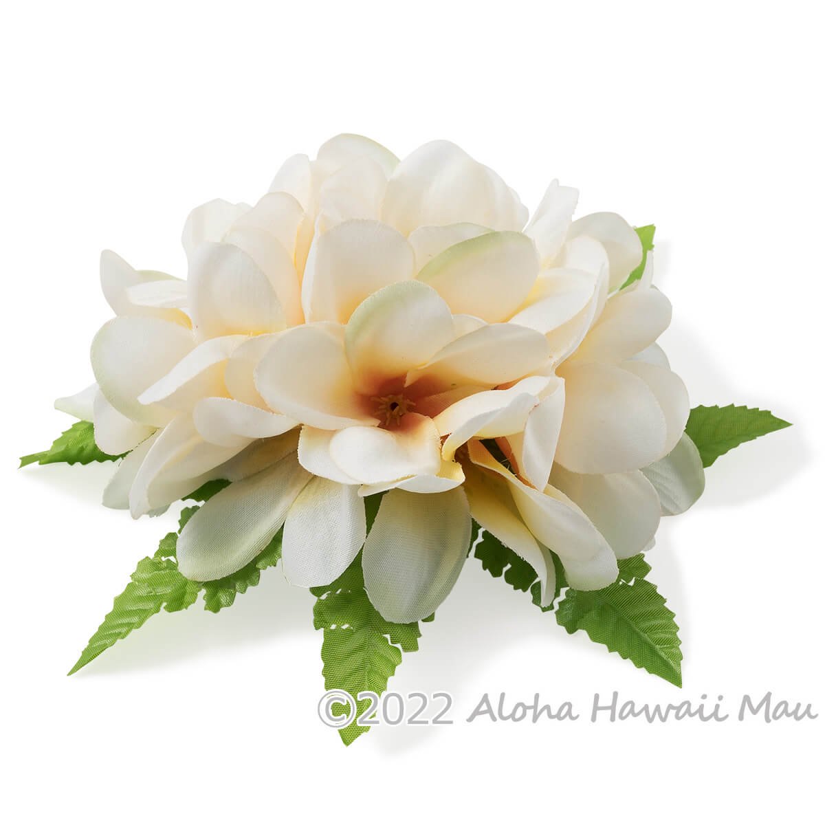 フラダンス 髪飾り アロハ プルメリア 髪飾り L ホワイト | フラダンス