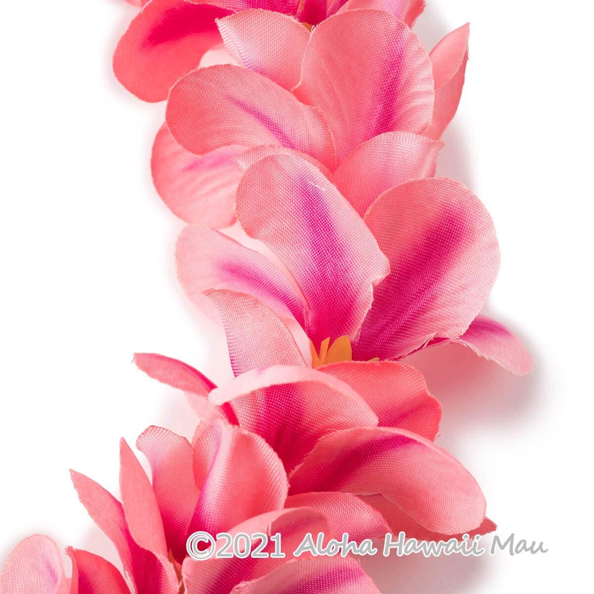 プルメリア ヘッドバンド ピーチ プルメリア フラ ポォ