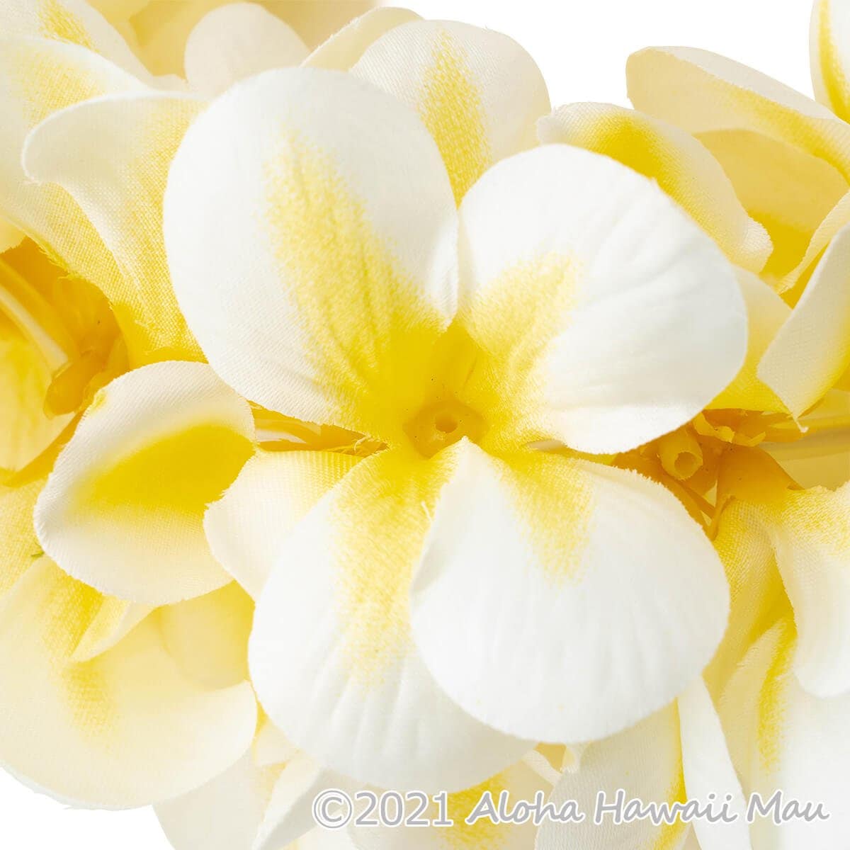フラダンス ヘッドバンド アロハ プルメリア ダブル ヘッドバンド イエロー