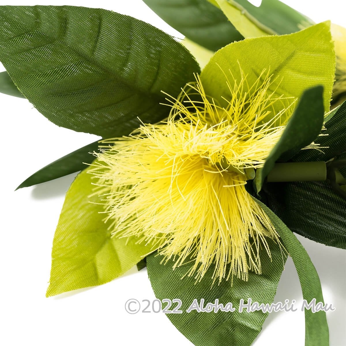 オヒアレフア ハワイマイレ ブレスレット イエロー フラダンス クウペエ アンクレット