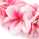 フラダンス ヘッドバンド アロハ プルメリア ダブル ヘッドバンド ピンク