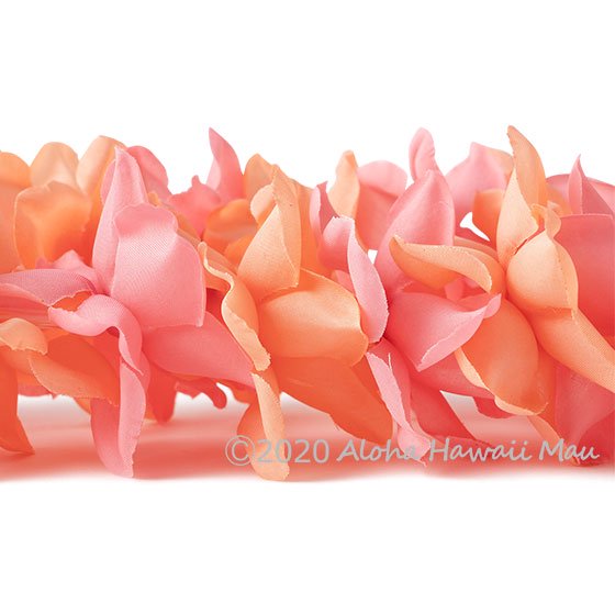 プルメリア Del Ray Peach