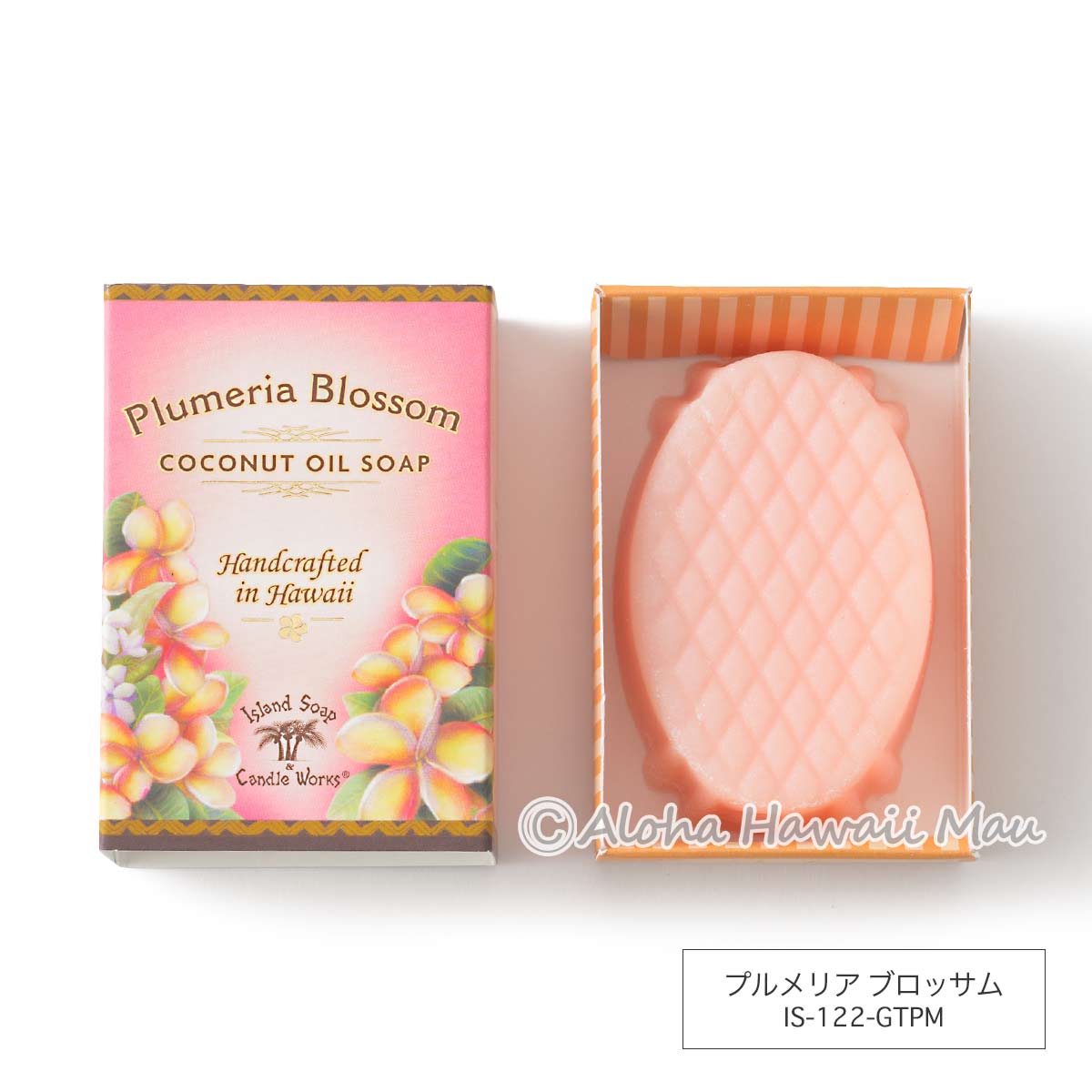 ハワイアン ココナッツソープ 50g 5つの香り〈チャーム付リボンラッピング〉ハワイギフト Island Soap＆Candle Works アイランドソープ＆キャンドルワークス