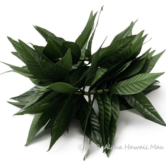 フラダンス ブレスレット（クーペエ） マイレ ラウリイ