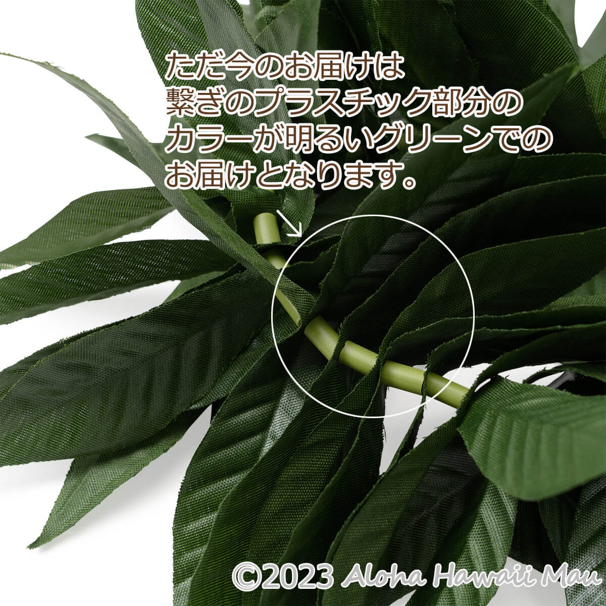 フラダンス ブレスレット（クーペエ） マイレ ラウリイ