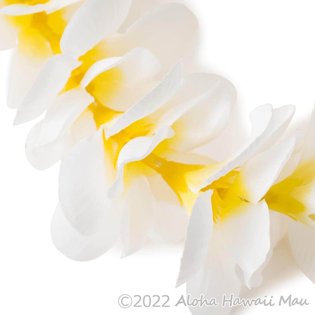 プルメリア ヘッドバンド ホワイト プルメリア フラ ポォ