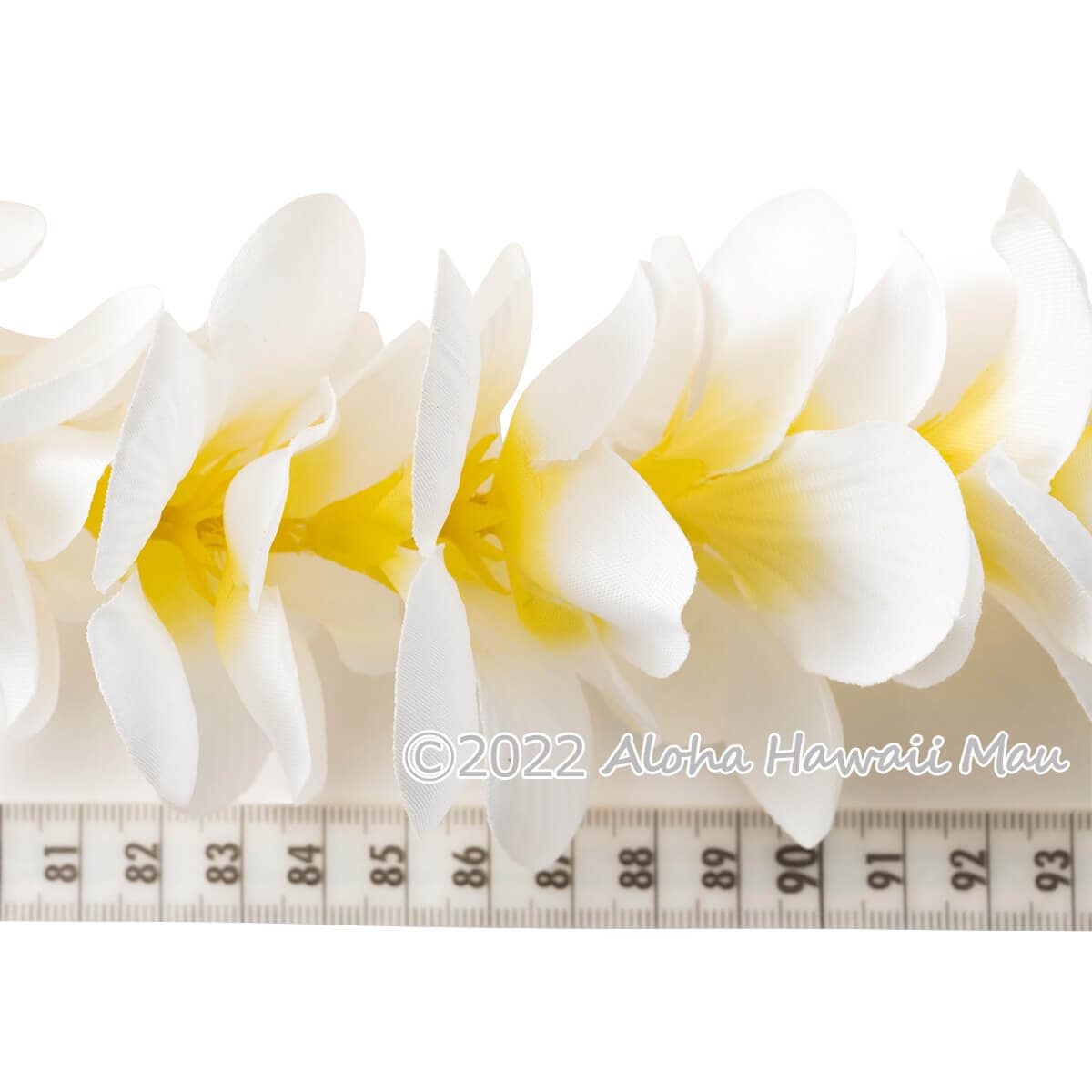 プルメリア ヘッドバンド ホワイト プルメリア フラ ポォ