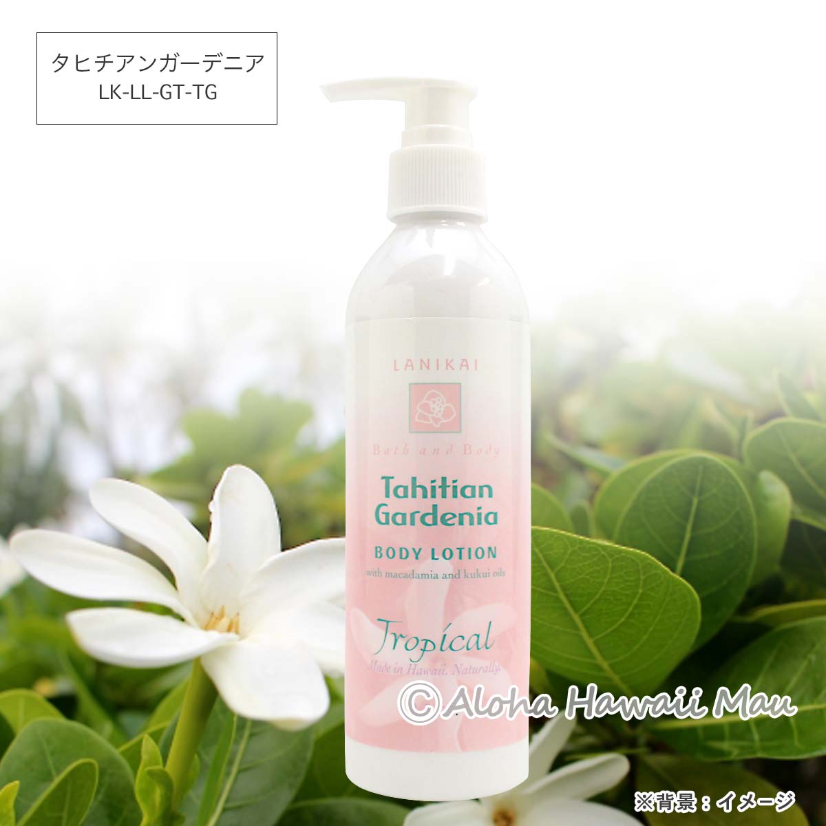 ボディローション250ml 8つの香り〈チャーム付リボンラッピング〉ハワイギフト LANIKAI Bath＆Body ラニカイ バス＆ボディ
