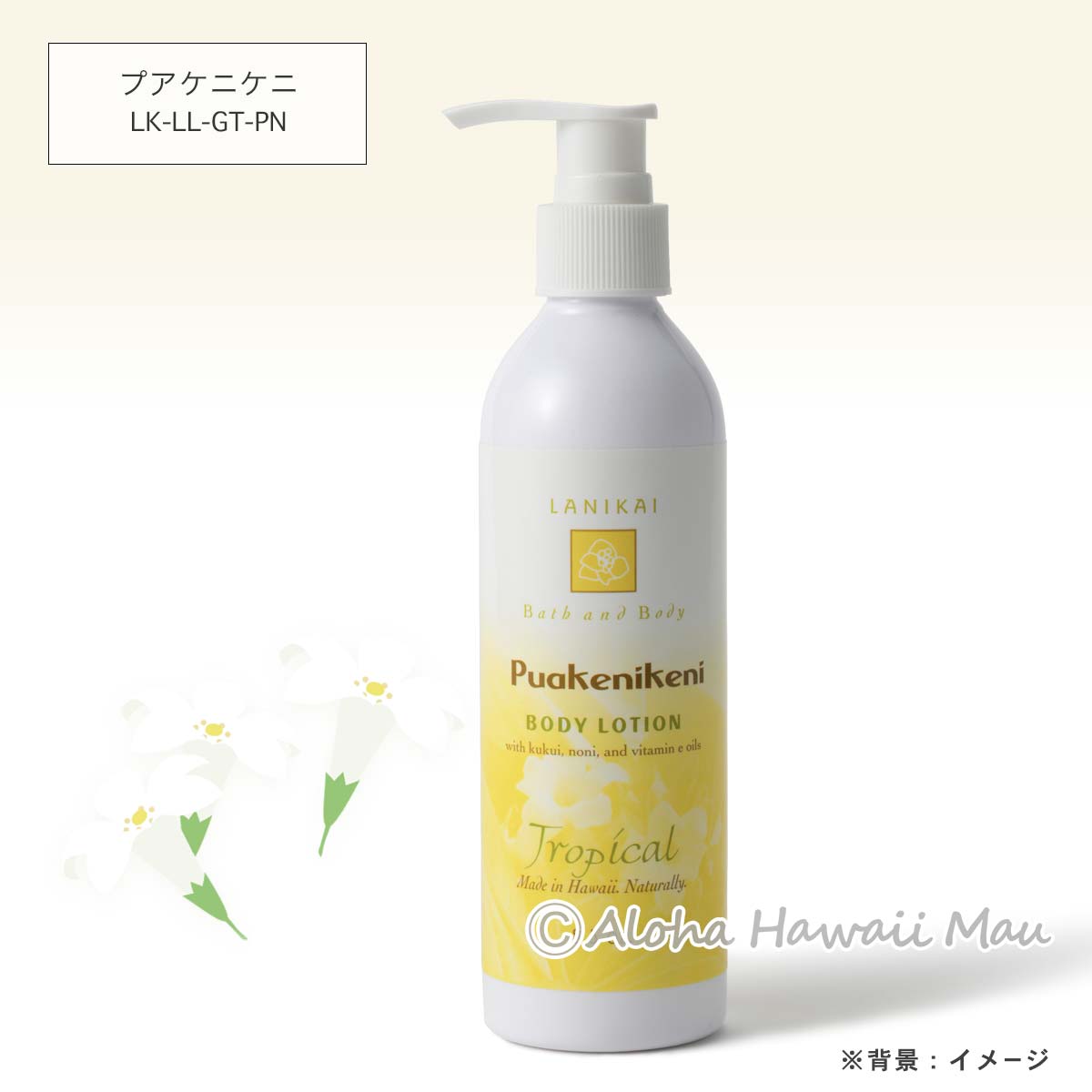 ボディローション250ml 8つの香り〈チャーム付リボンラッピング〉ハワイギフト LANIKAI Bath＆Body ラニカイ バス＆ボディ