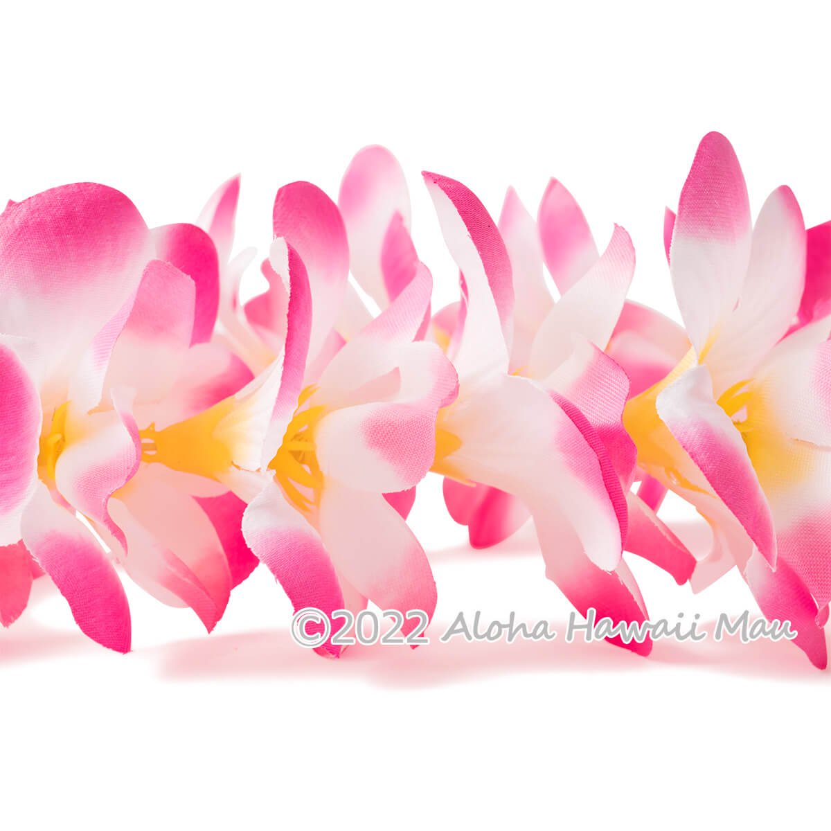 プルメリア ヘッドバンド ピンク/ホワイト プルメリア フラ ポォ