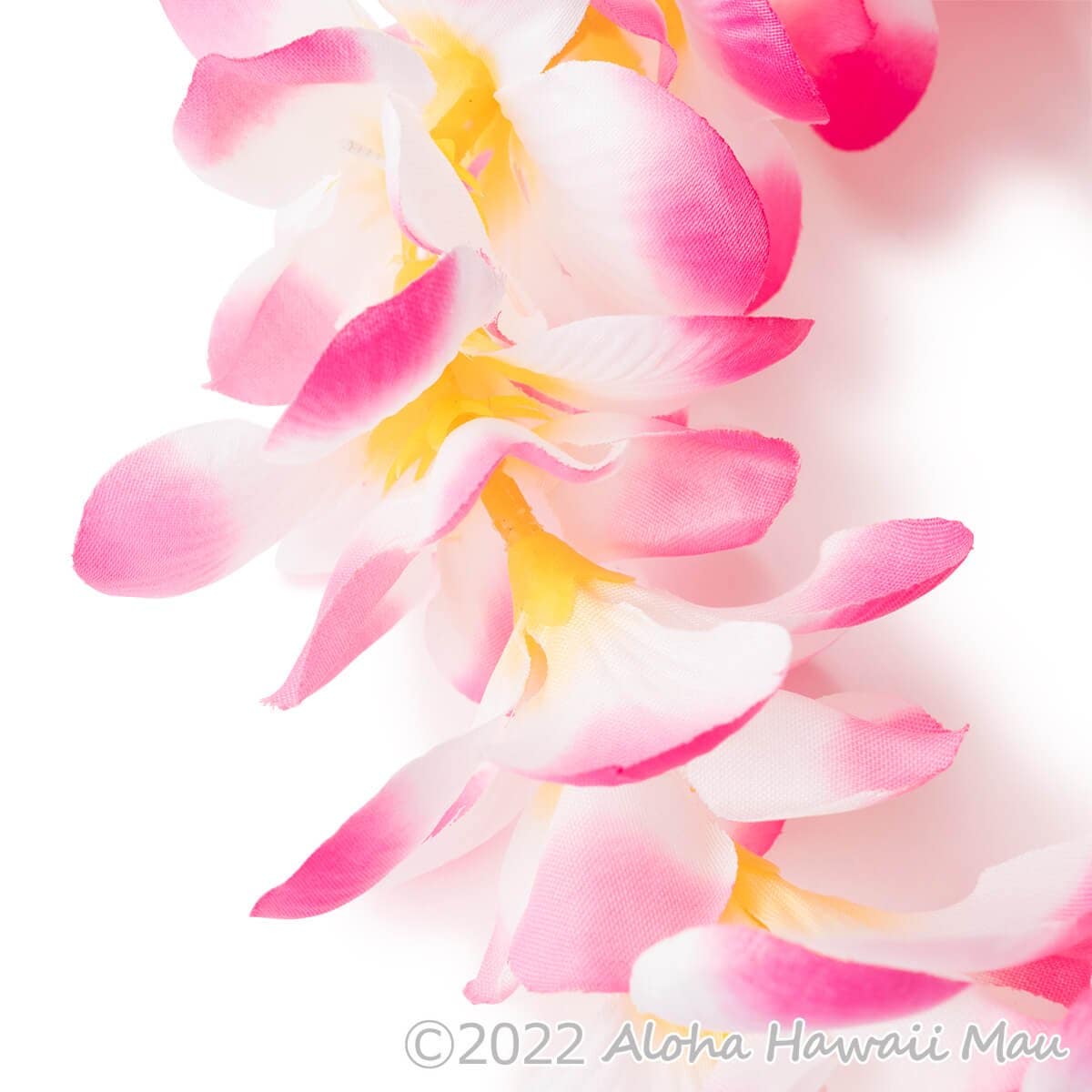 プルメリア ヘッドバンド ピンク/ホワイト プルメリア フラ ポォ