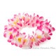 プルメリア ヘッドバンド ピンク/ホワイト プルメリア フラ ポォ