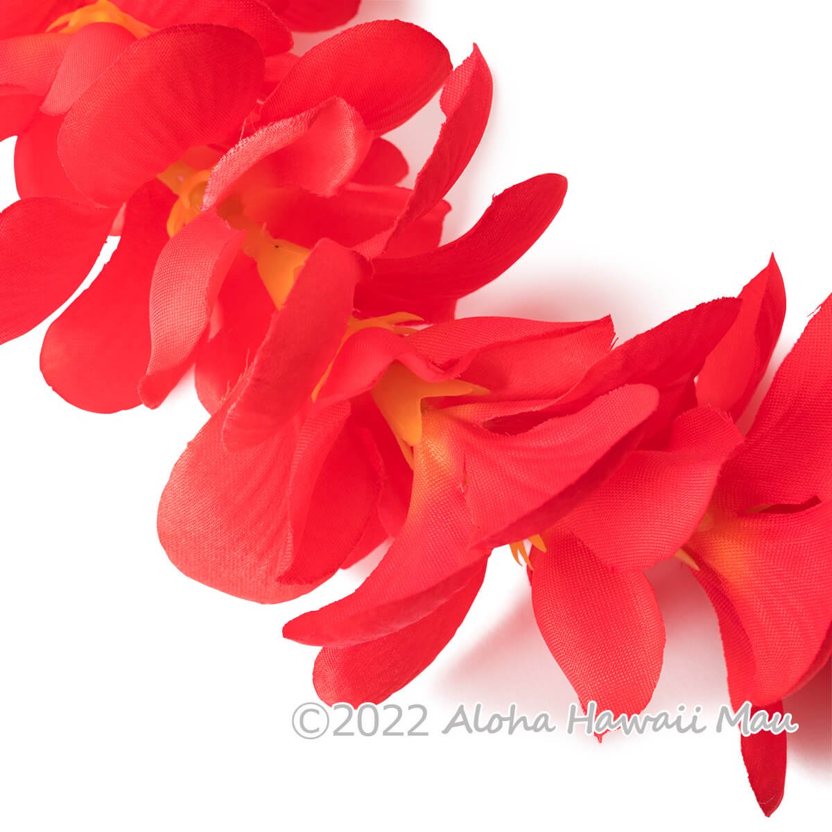 プルメリア ヘッドバンド レッド プルメリア フラ ポォ