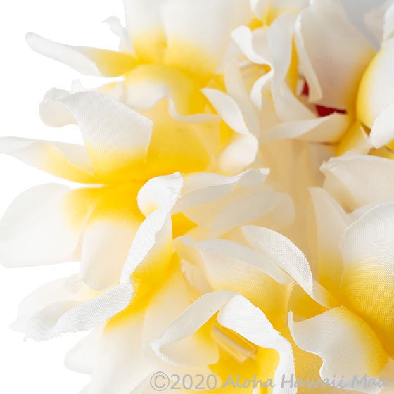 フラダンス ブレスレット プルメリアプナ プルメリア