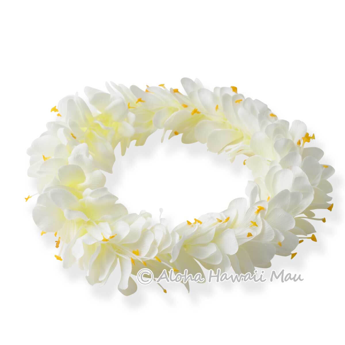 フラダンス ヘッドバンド カヒリジンジャーヘッドバンド ホワイト