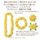 フラダンス レイ カヒリジンジャー レイ イエロー