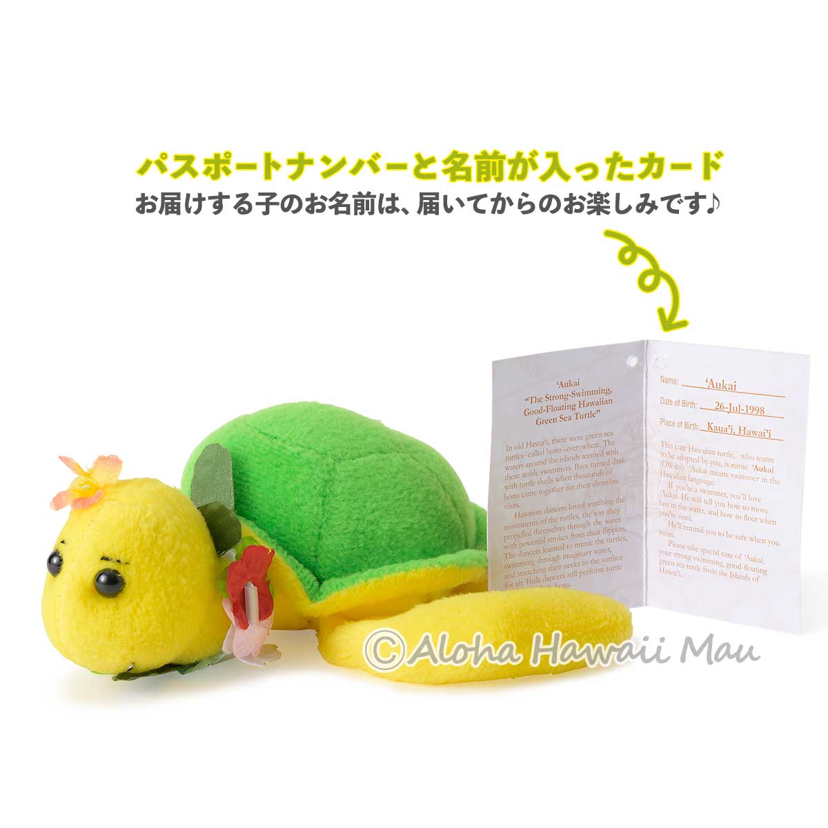 ハワイ ぬいぐるみ ホヌ イエロー/グリーン