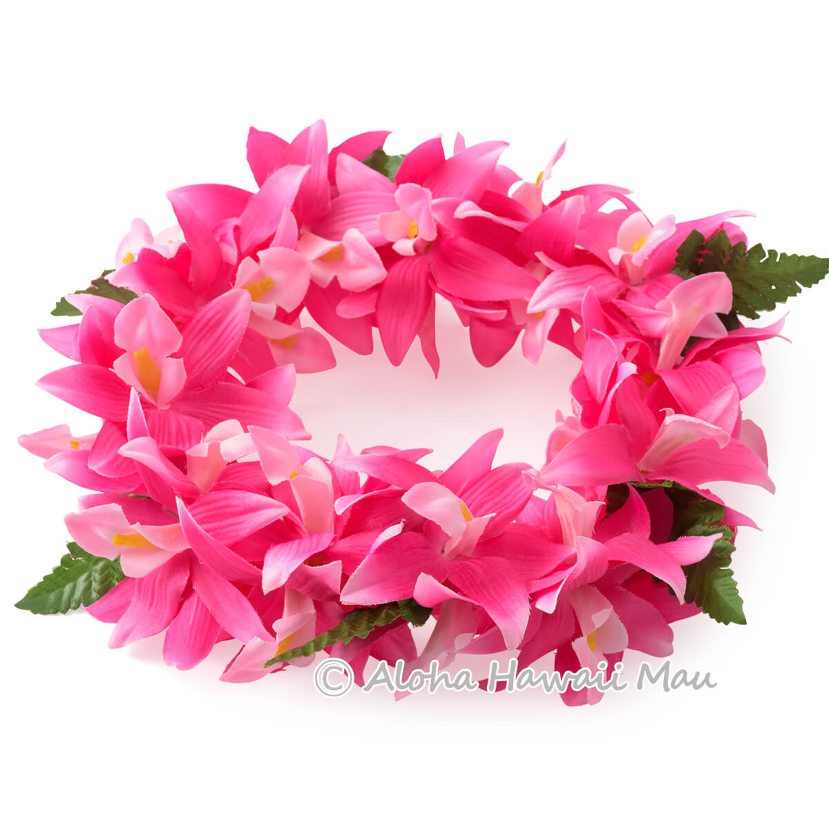 フラダンス ヘッドバンド（ポォ）バンダオーキッド ダブル ヘッドバンド ローズピンク