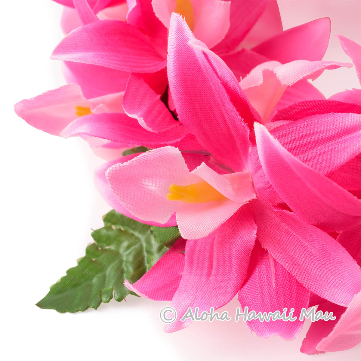 フラダンス ヘッドバンド（ポォ）バンダオーキッド ダブル ヘッドバンド ローズピンク